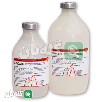 Olvac A+B