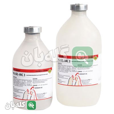 HG Gel-Vac 3