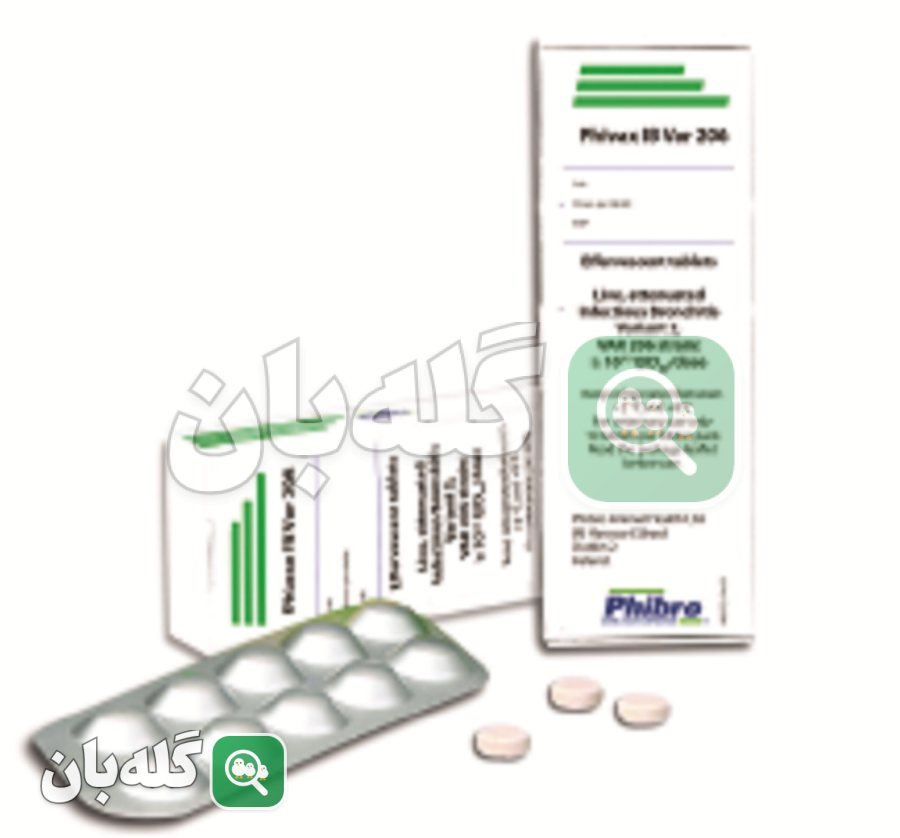 Phivax IBVAR 206